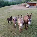 Alba Del Borgo Bauernhof *