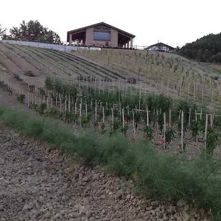 مزرعة للإقامة Alba Del Borgo فيدينسا