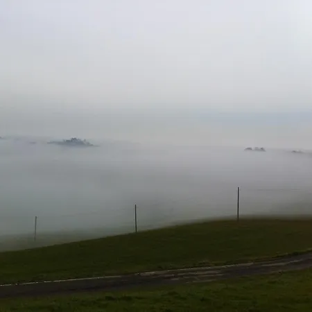 Alba Del Borgo Fidenza