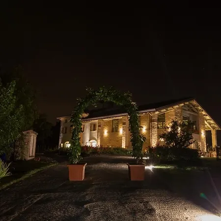 Alba Del Borgo Fidenza