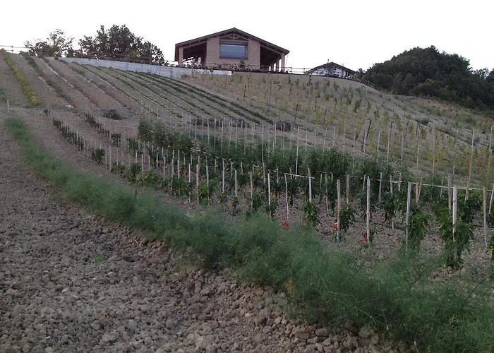 팜스테이 Alba Del Borgo 피덴차