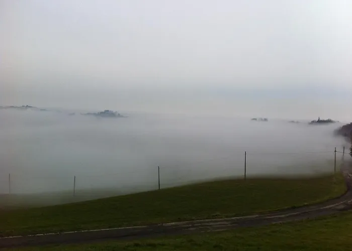 Alba Del Borgo 피덴차